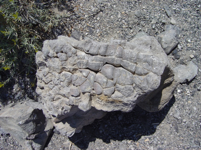 mono crater volcanic bubbles