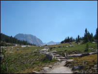 tuolumne pass 1