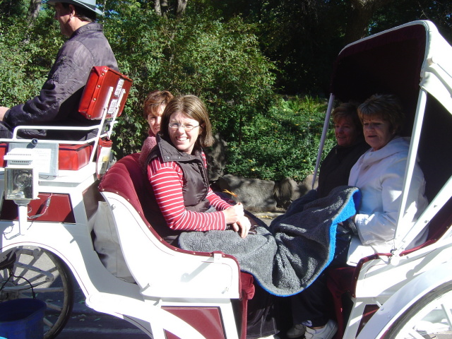 carriage round the park