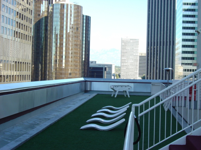 the standard rooftop lawn