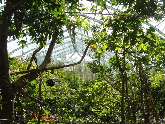 aviary