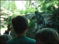 baby monkey with children