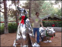 justin tames polar bears