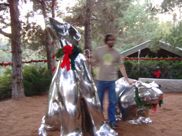 justin tames polar bears