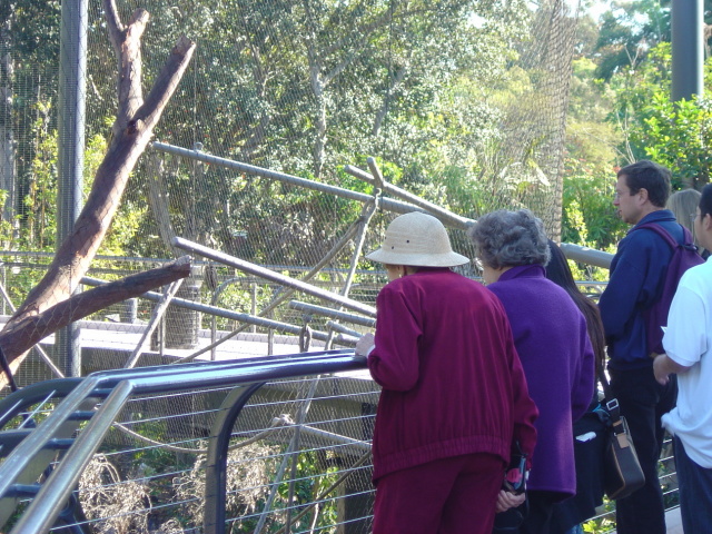 pith helmet granny