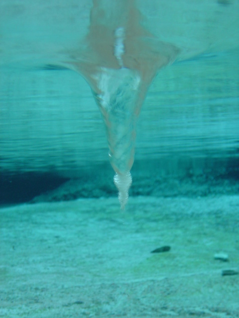 vortex