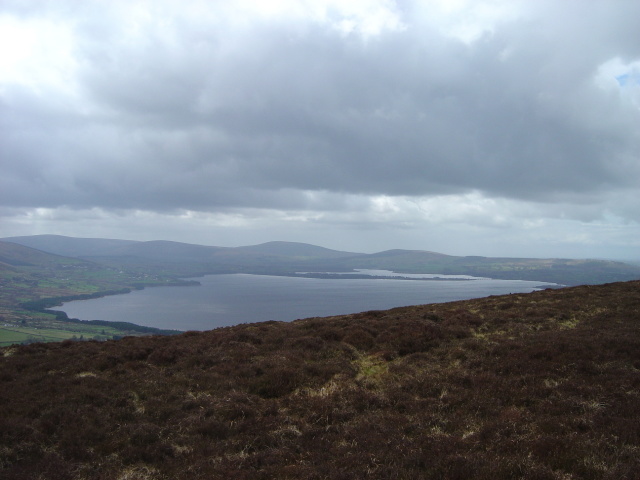 sorrel hill 1