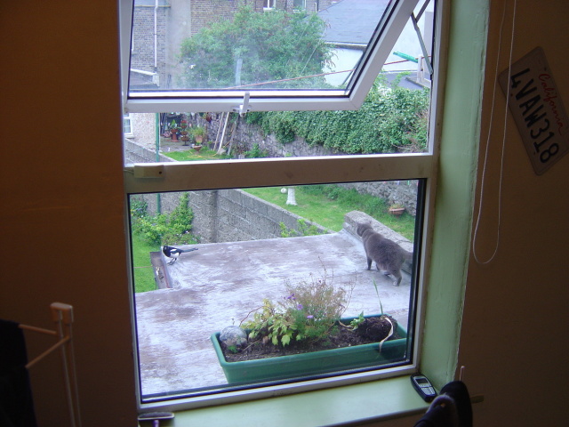 outside my window right now 1