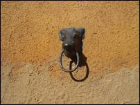 boar knocker 2