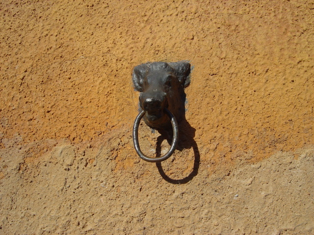 boar knocker 2