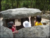 kitty, kate, and I ponder the riddle of the stones