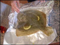 turbot 2