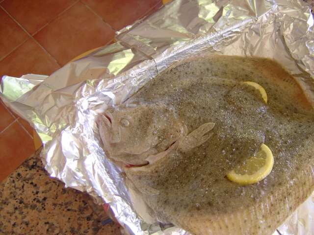 turbot 3