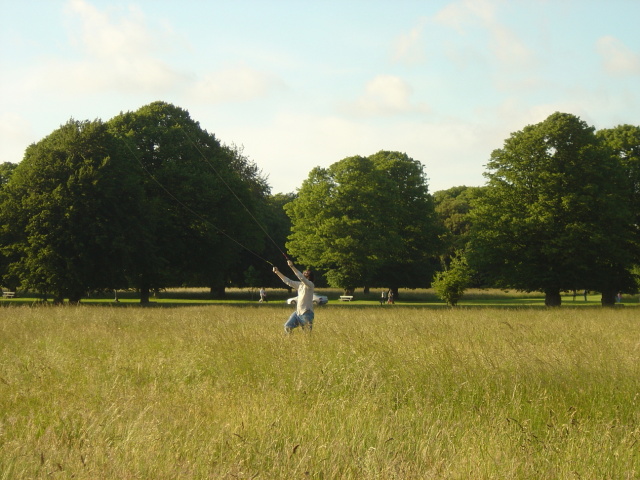 flying a kite