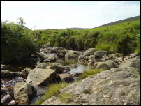 wicklow brook