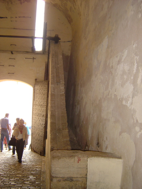 bonifacio gate mechanism 2