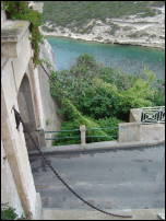 bonifacio overgrown portcullis