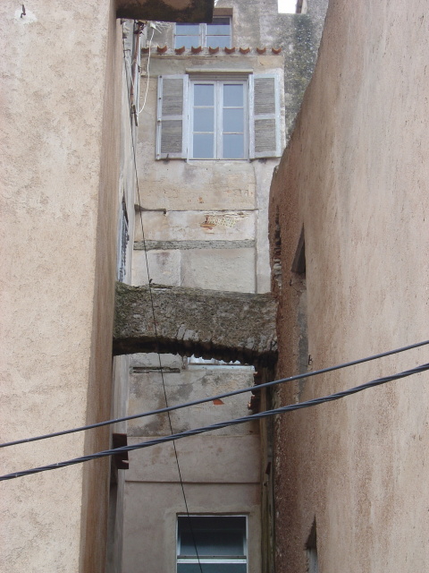 bonifacio vestigial buttress