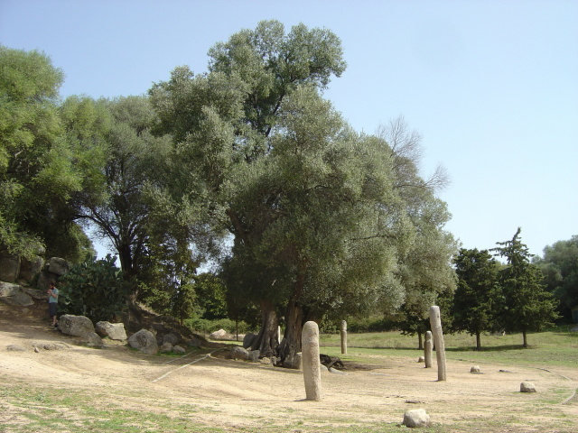 filitosa 13