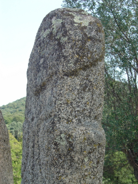 filitosa 5