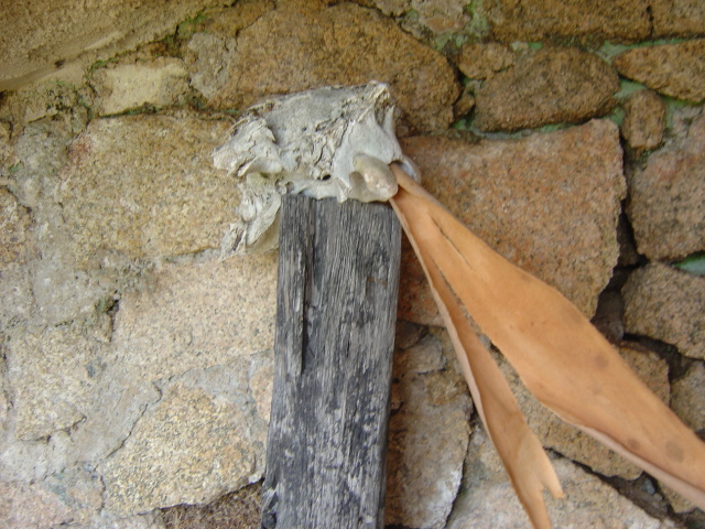 interesting shrine 3