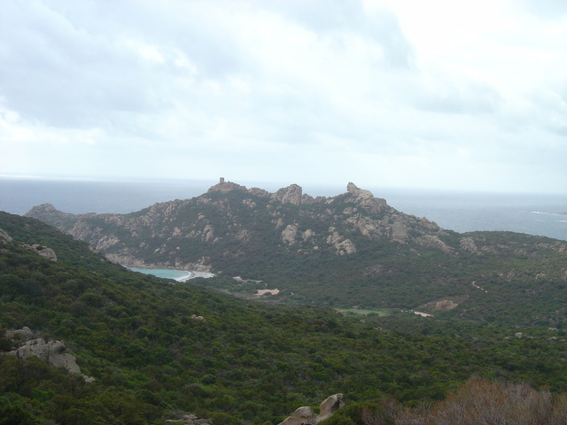 lion de roccapina 1