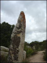 menhirs 3