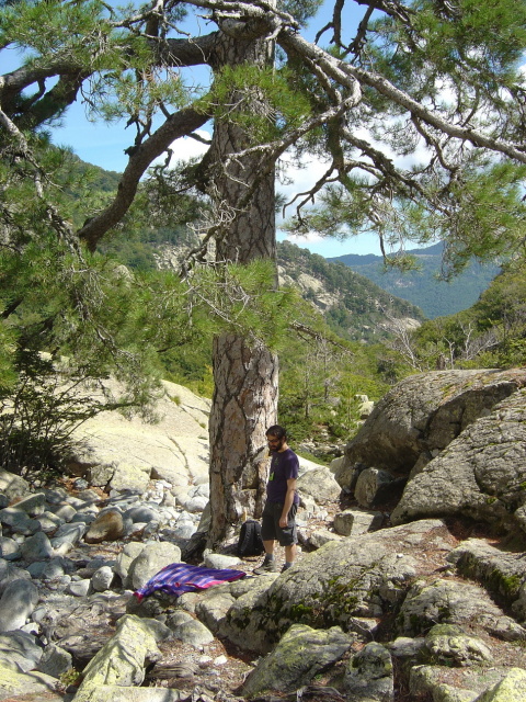 monte d oro picnic
