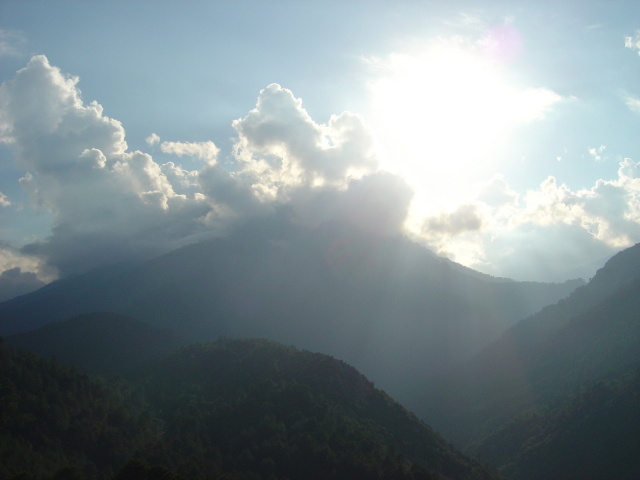 monte d oro sun 1