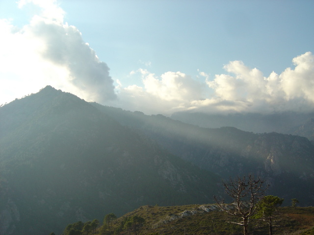 monte d oro sun 2