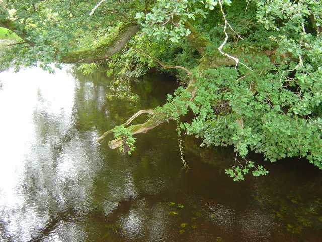 the river at markree