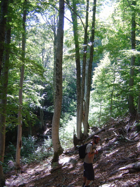 vizzavona hike 5