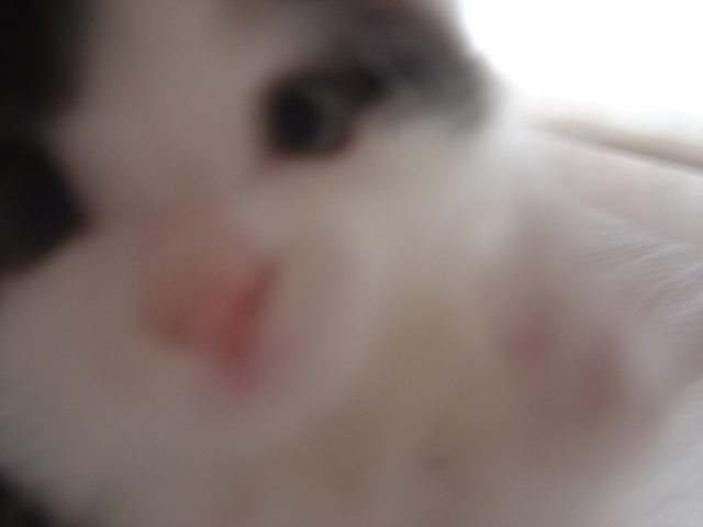 ATTACK