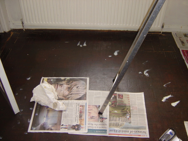 kitten paint aftermath 1