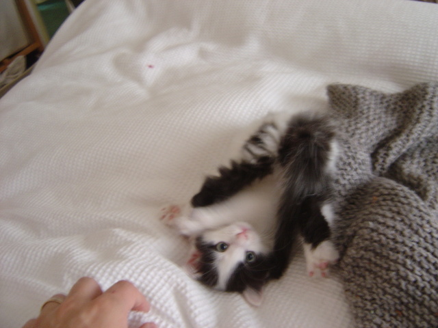 upside down