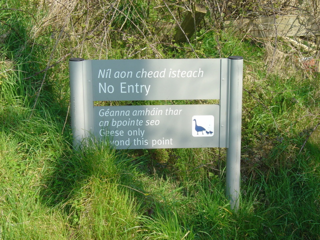 geese only beyond this point