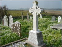 wild garlic in graveyard 4