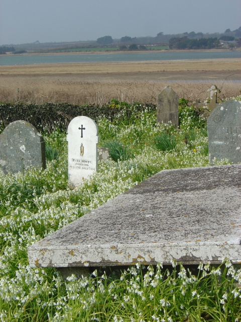 wild garlic in graveyard 6