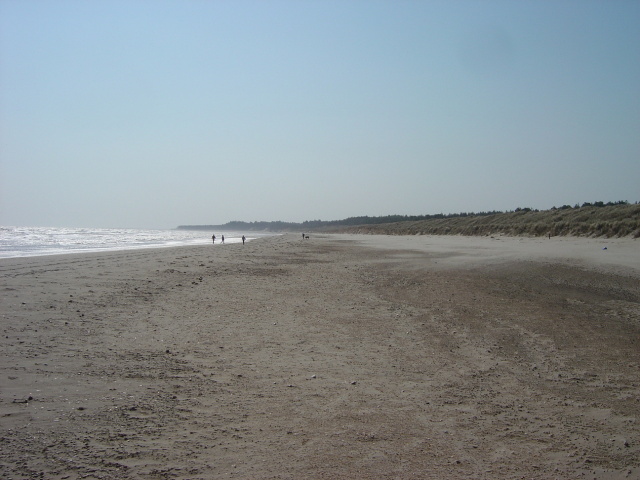 wind blasted sand 4