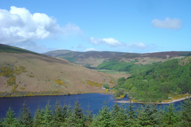 lough dan 2