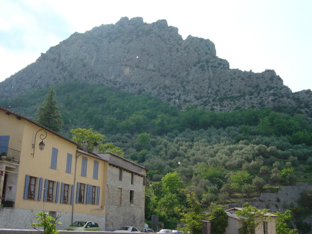 entrevaux airborne seeds