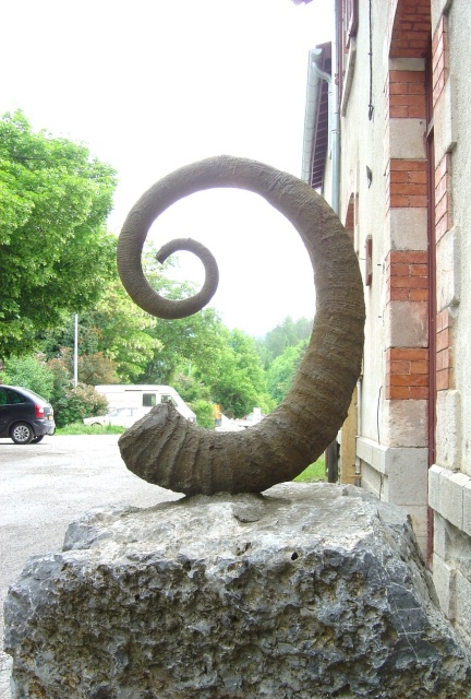 train des pignes ammonite