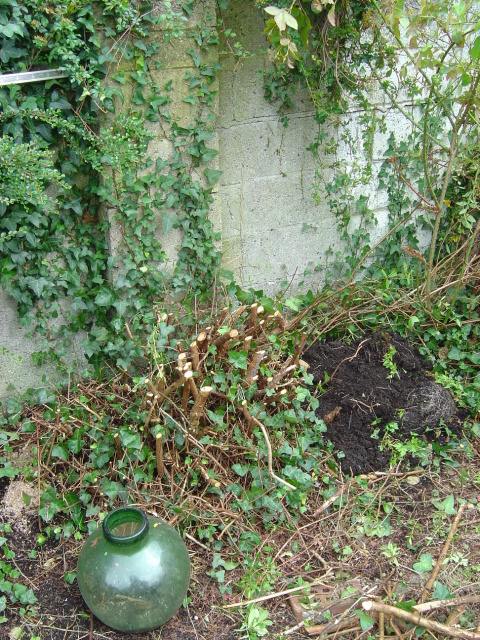 now thats pruning 1