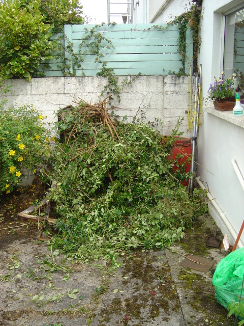 now thats pruning 2