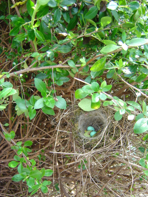 dsc05270