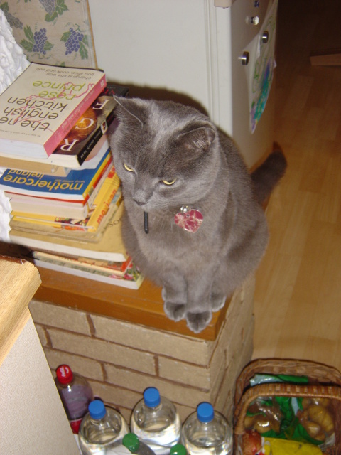 DSC05307