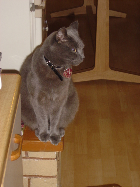 DSC05308