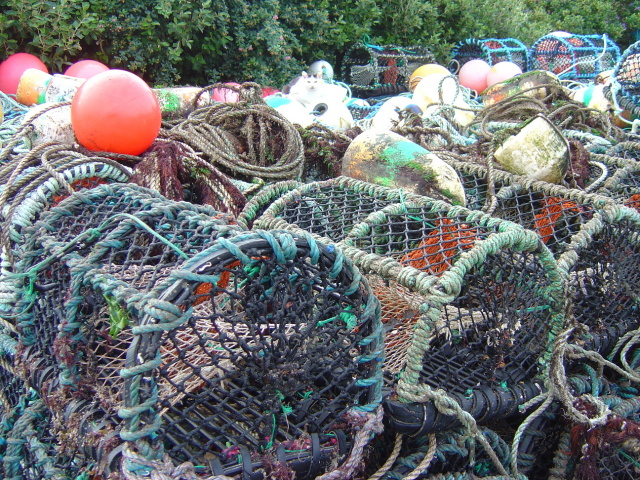 DSC05456