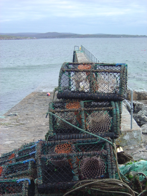 DSC05460