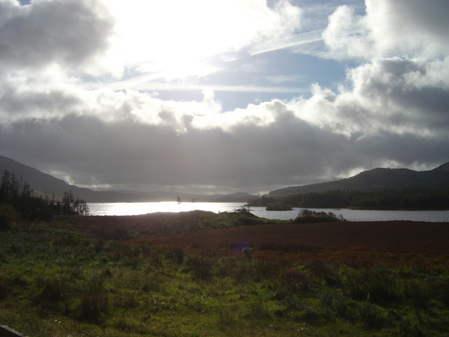 DSC05494